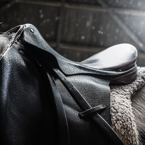 Dressage Saddle Premium